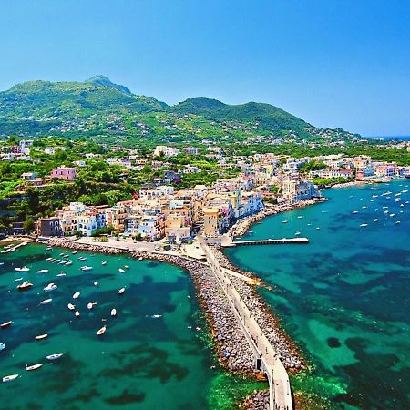 Villa To Ischia With Love מראה חיצוני תמונה