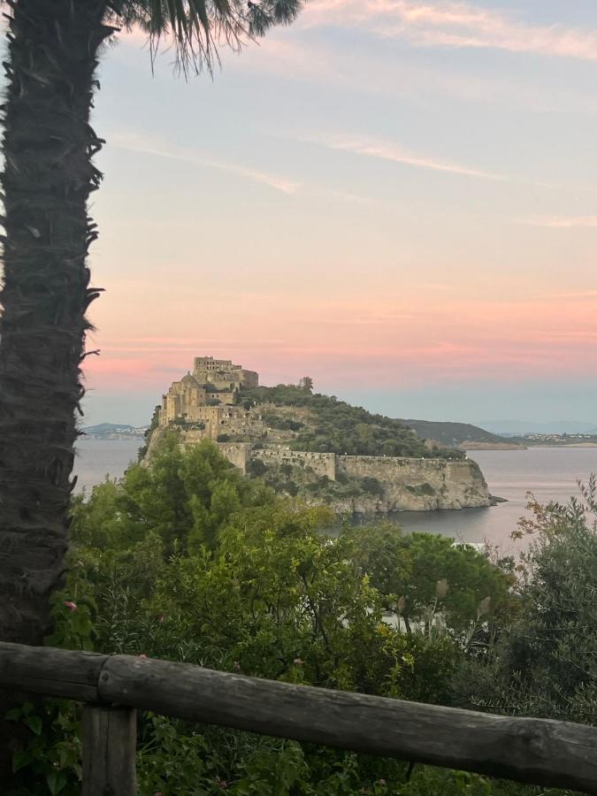 Villa To Ischia With Love מראה חיצוני תמונה